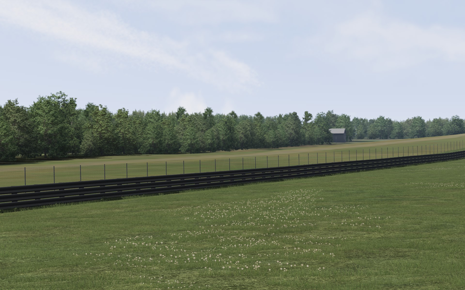 Пример 1 правильно освещённых деревьев в Assetto Corsa